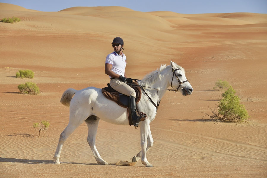 Randeep Hooda heads through the dunes in the Liwa desert in Abu Dhabi