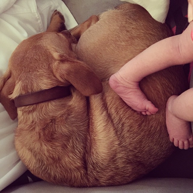 11282741_833605750048857_1844372392_n