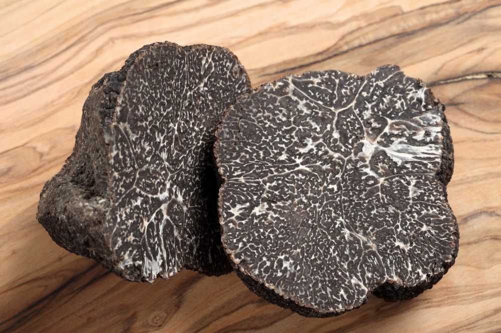 resized_Truffle Image 2_Global