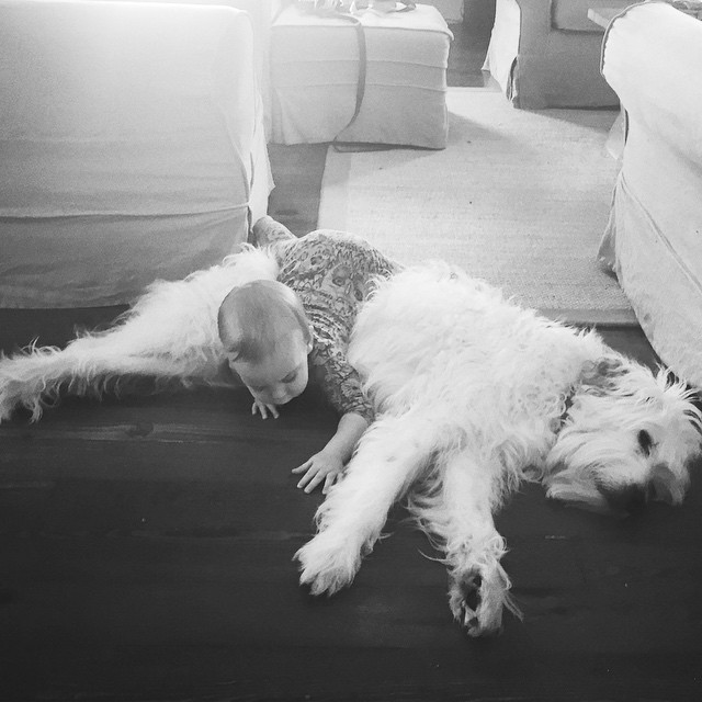 11326672_622427241226485_1336543255_n