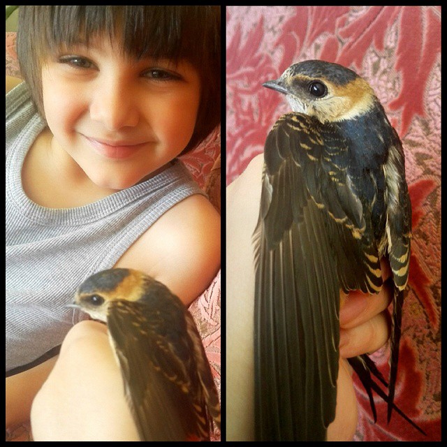 11376437_1620332131586995_1292515002_n