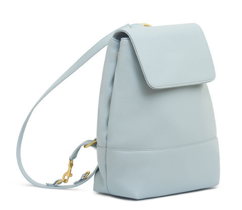 The Chic Backpack