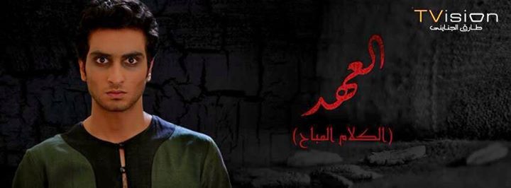 محمد الشرنوبي  (7)