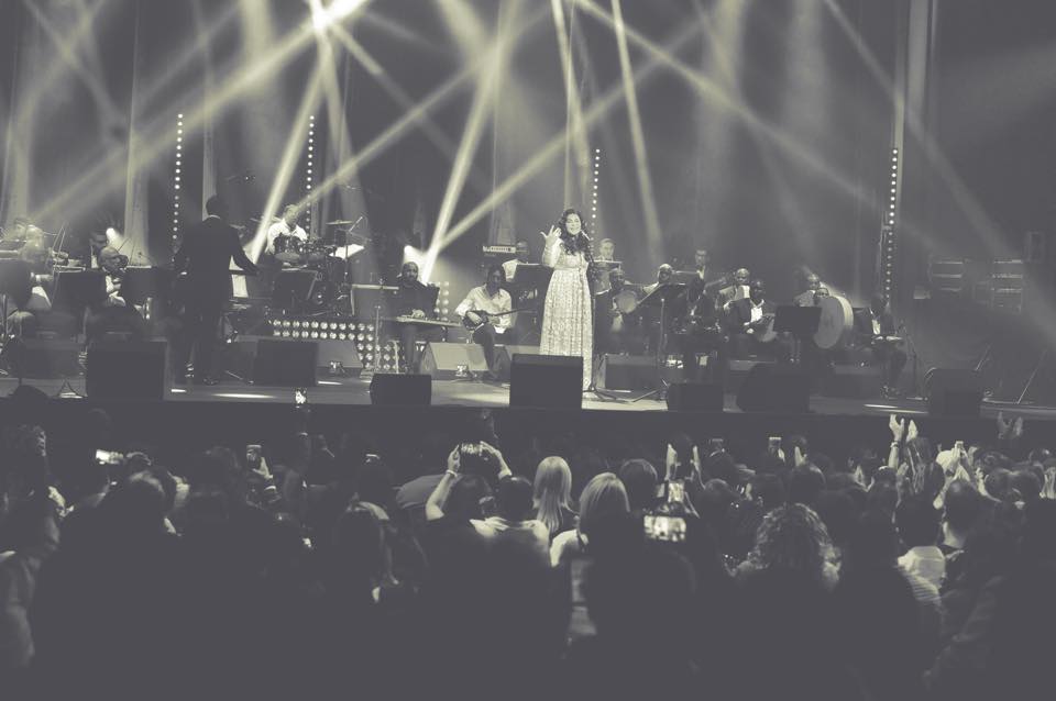 11902327_10152981946056367_8907613118384169293_n