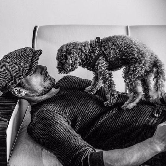 David Gandy