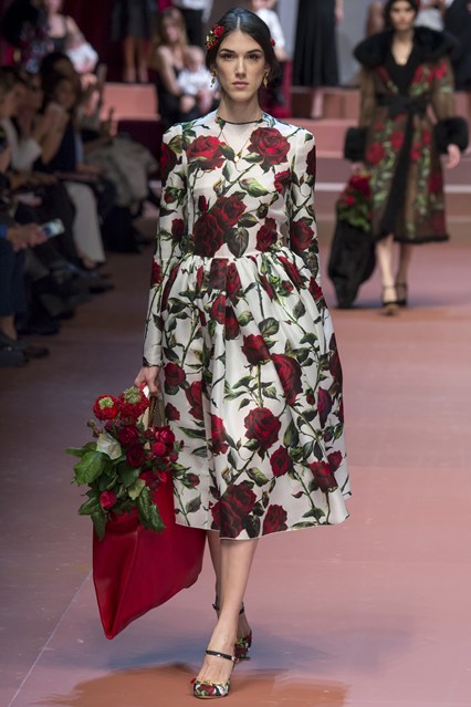 Dolce & Gabbana AW2015-2016