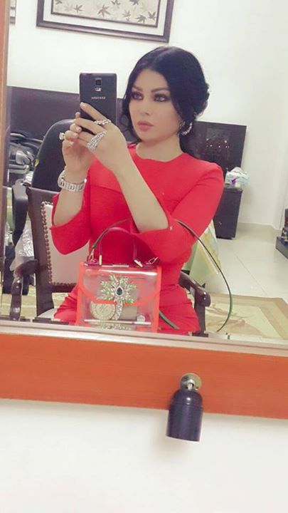 هيفا وهبي (1)