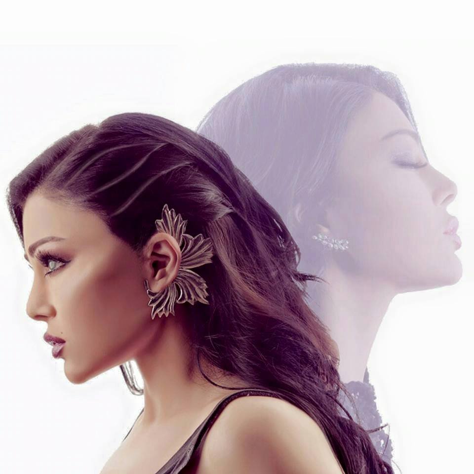 هيفا وهبي (3)