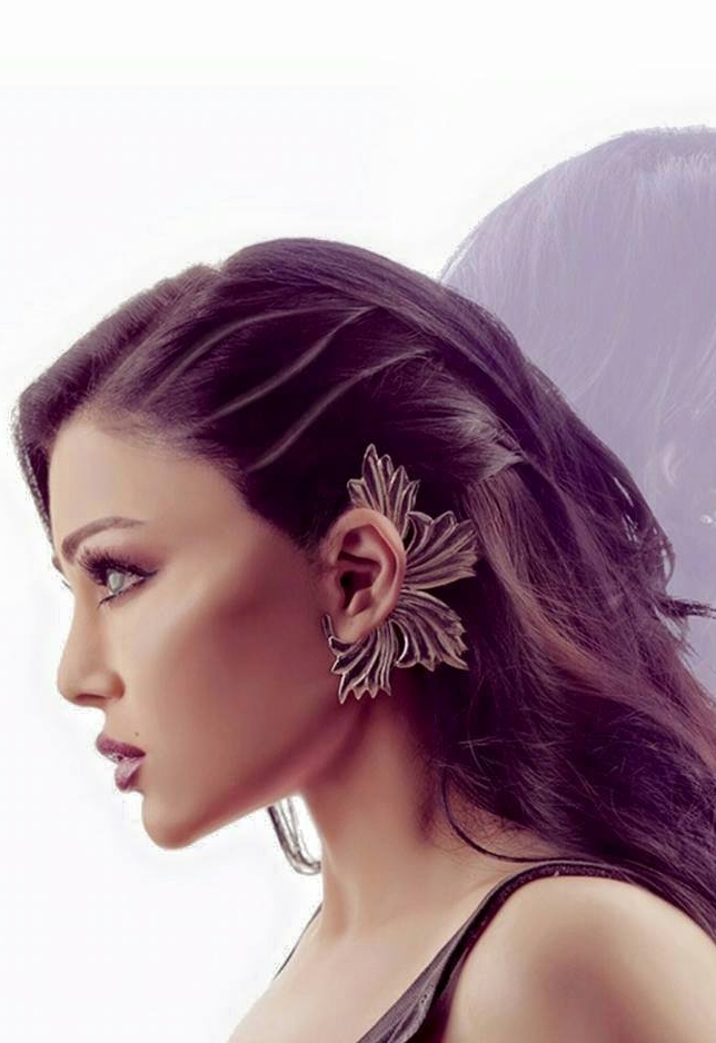 هيفا وهبي (3)