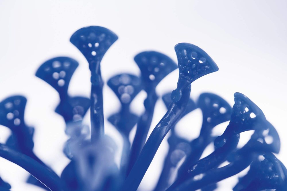 resized_Diva Savoir Faire 03