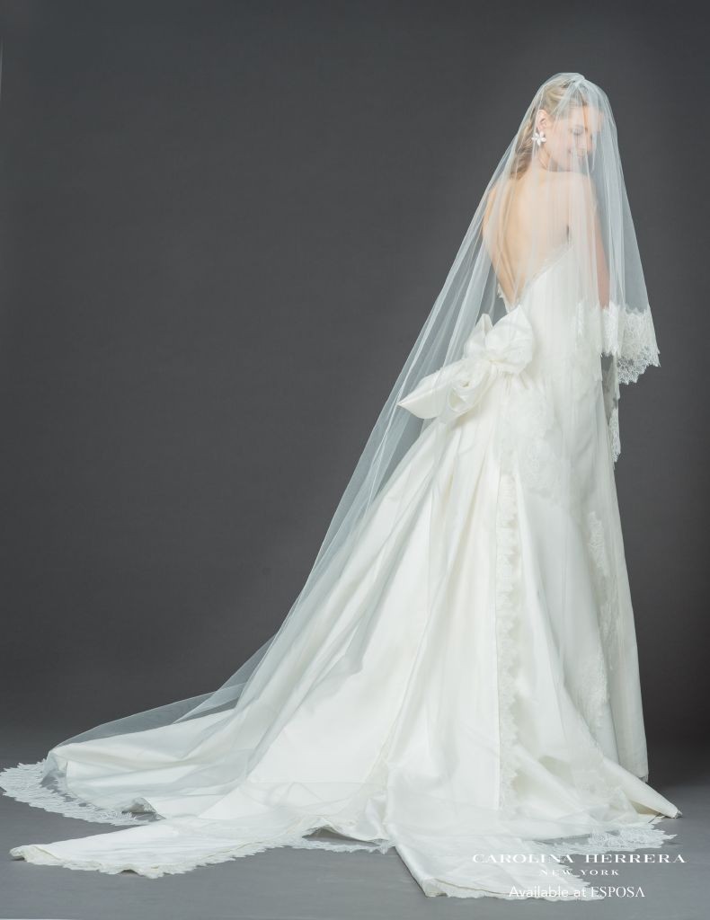 resized_jacqueline veil