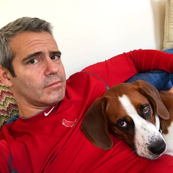 Andy Cohen