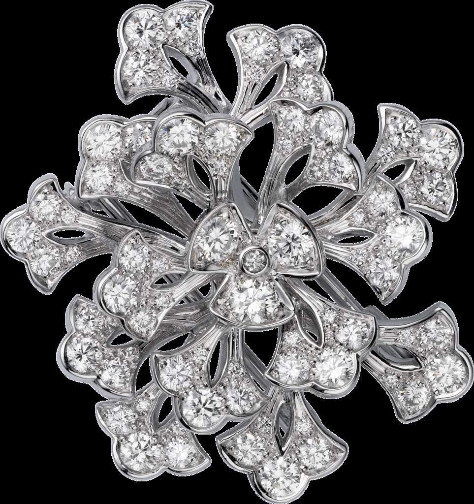 Cartier (3