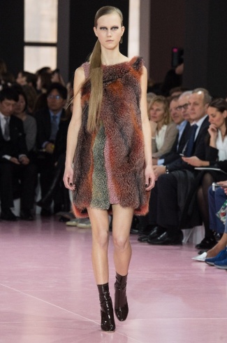Dior1