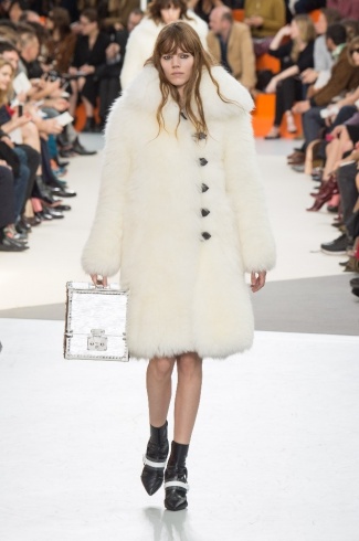 Louis Vuitton1