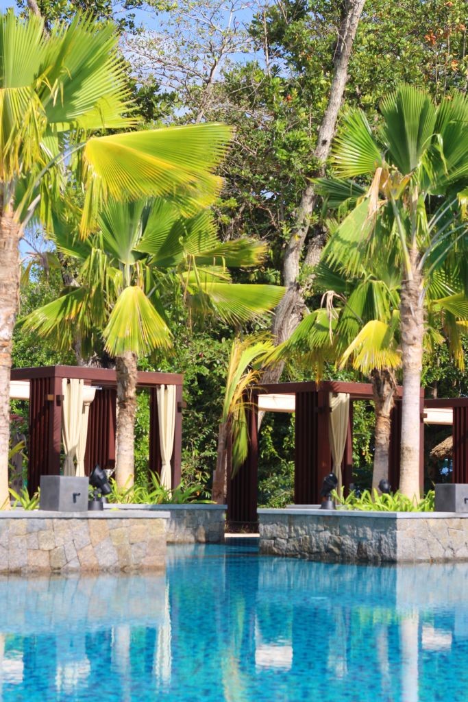 resized_Pool 3