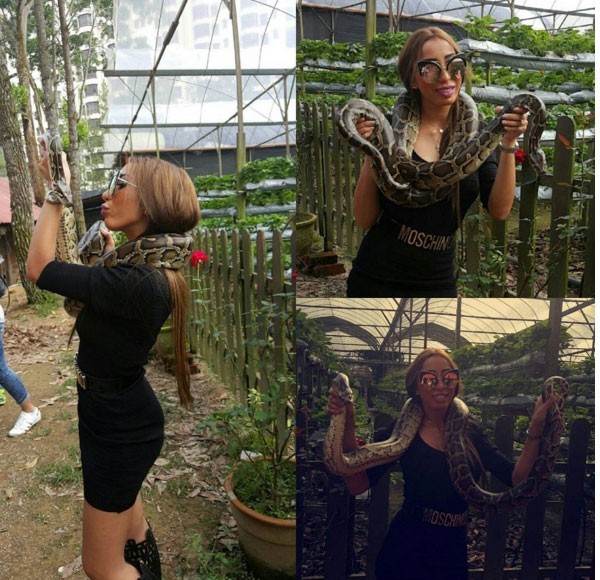 دنيا بطمة