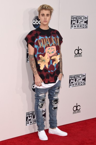 2015 American Music Awards - Arrivals