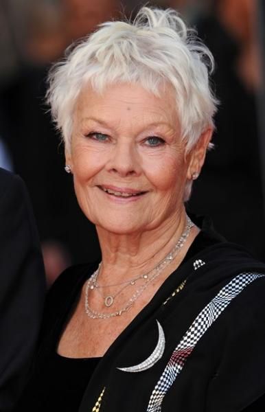 1447444261_judi_dench