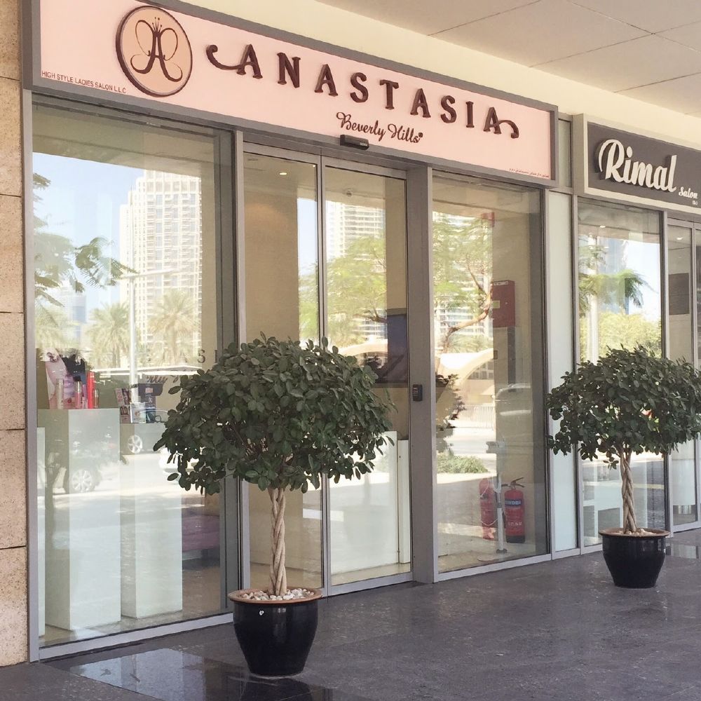resized_Anastasia Beverly Hills (1)