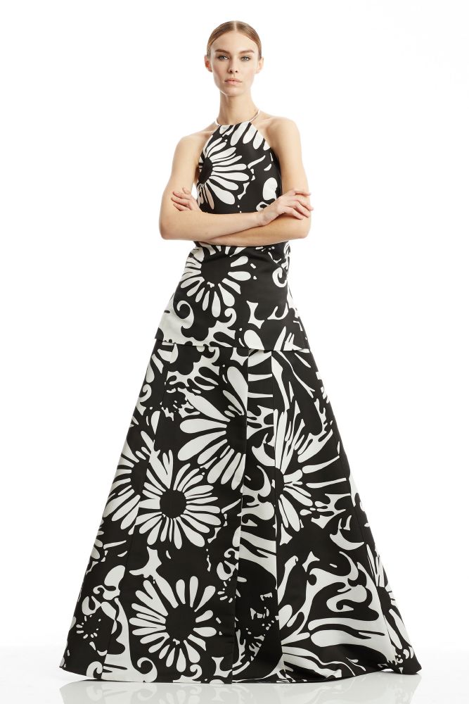 resized_Kaufmanfranco