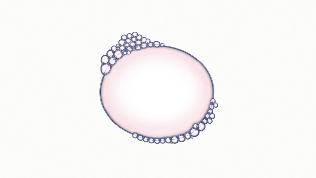 Cellule_V3C_F39