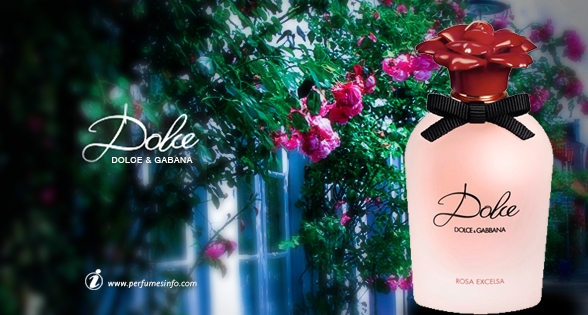 Dolce Rosa Excelsa (1)