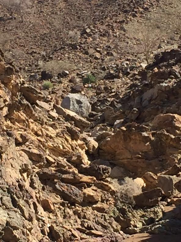 صخرة في الإمارات  (1)