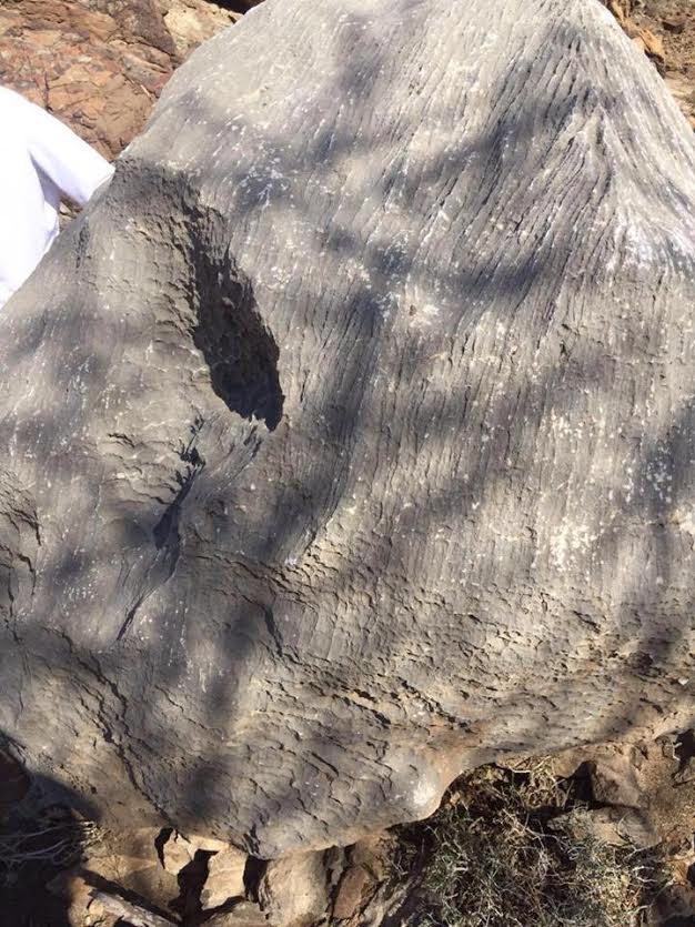 صخرة في الإمارات  (2)