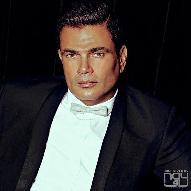 عمرو دياب (8)