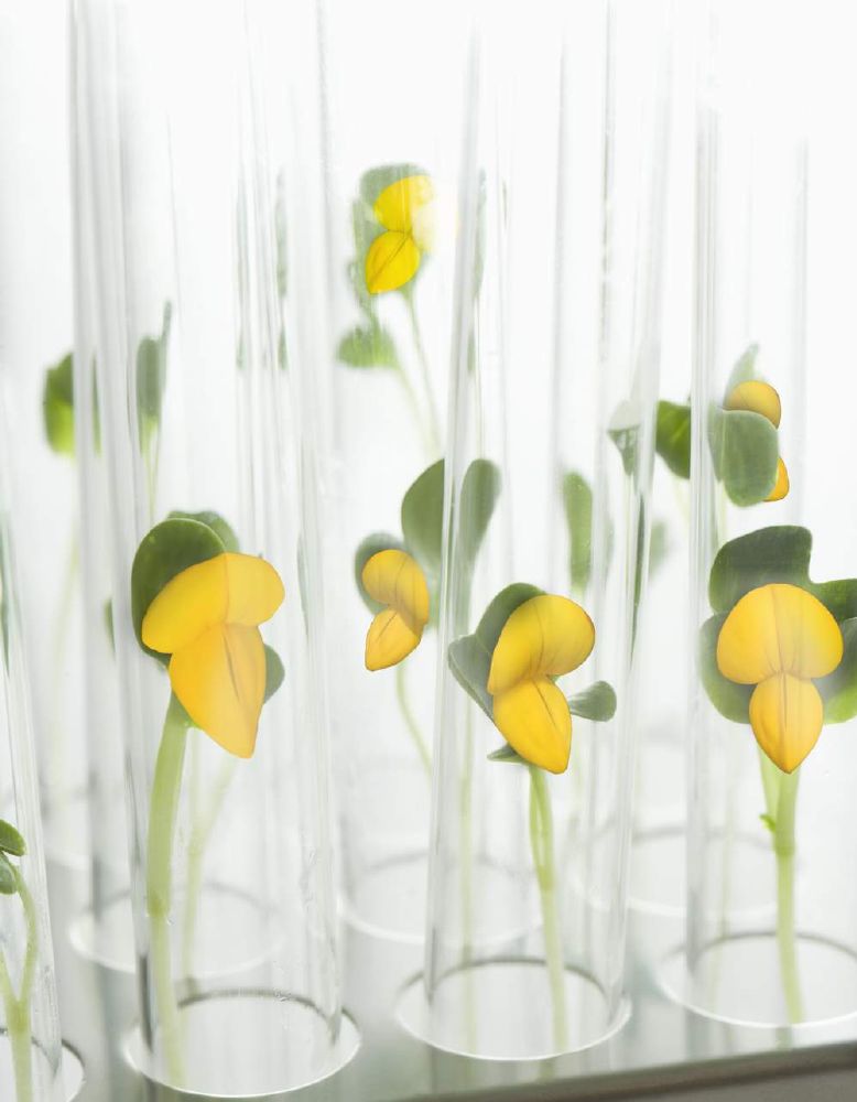 resized_La Prairie - Cellular Radiance Perfecting Fluide Pure Gold