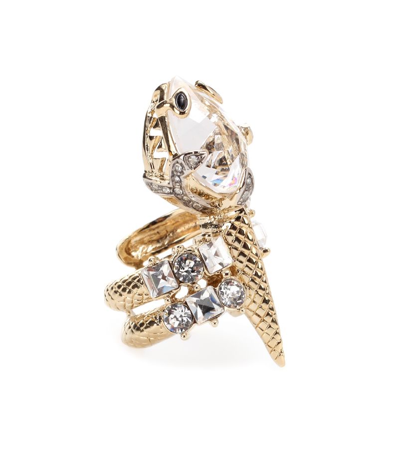resized_Roberto Cavalli