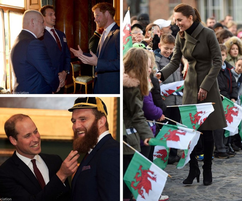 العائلة المالكة البريطانية  (8)