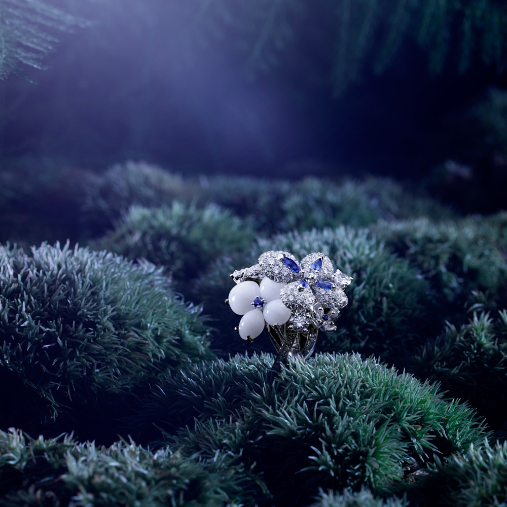 Hortensia Voie Lactee - Chaumet (3)