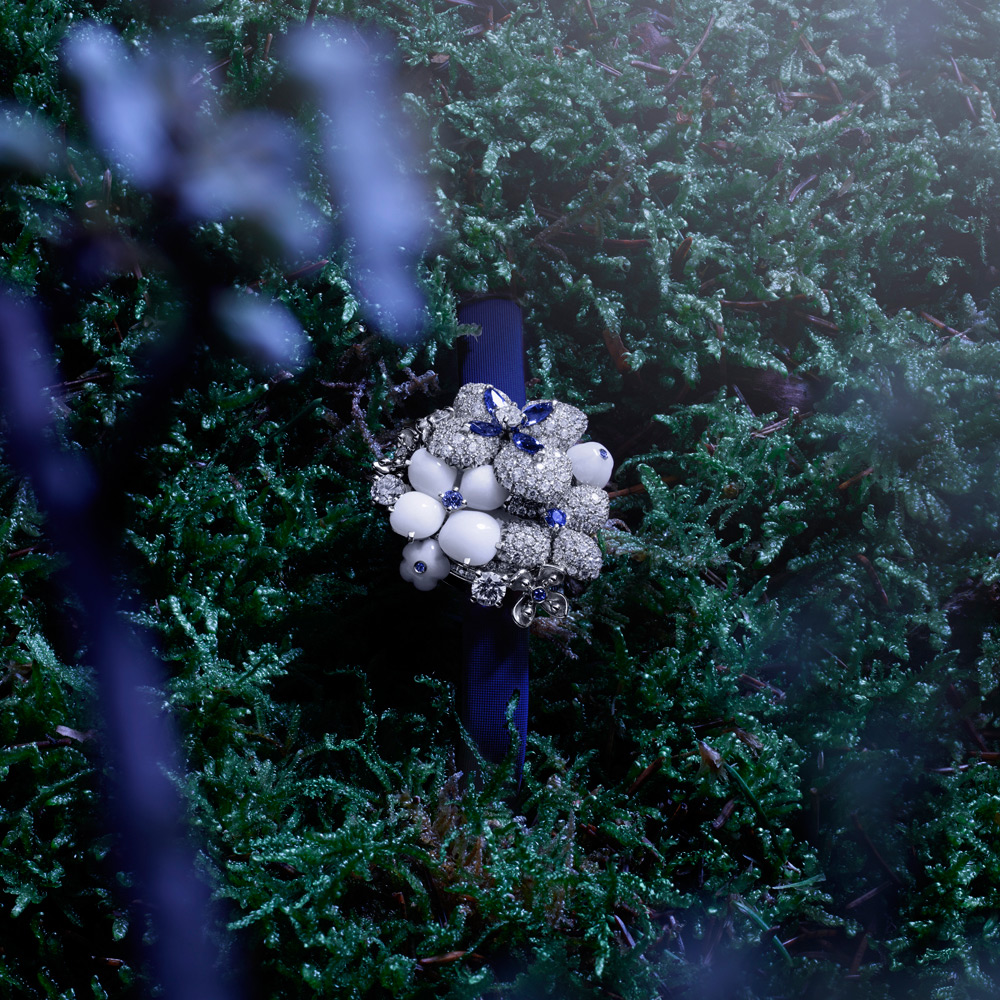 Hortensia Voie Lactee - Chaumet (4)