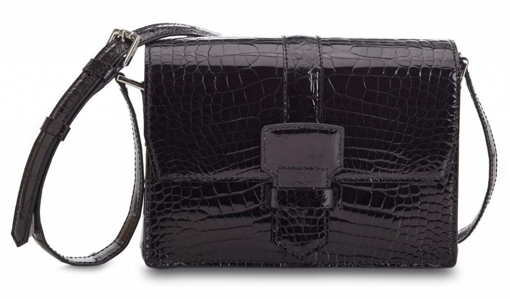 Salvatore Ferragamo Women's SS2016 Accessories_PAG054A