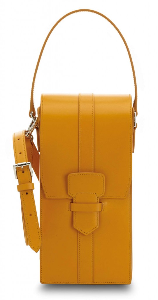 Salvatore Ferragamo Women's SS2016 Accessories_PAG056