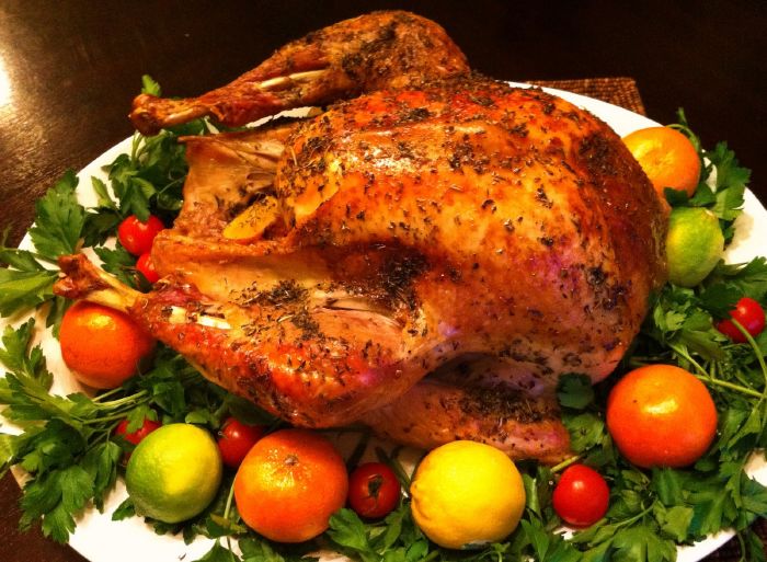 resized_8977-roasted-turkey-1