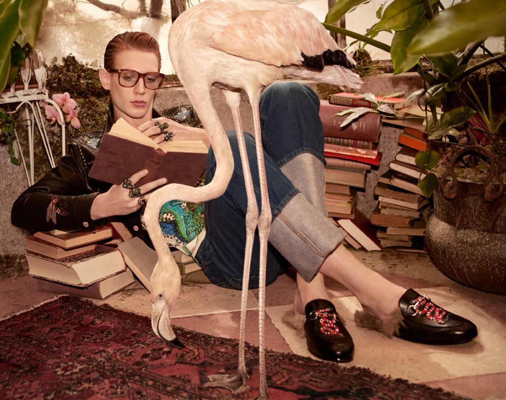 resized_GU460_PF16 _SP Crops_6_300dpi