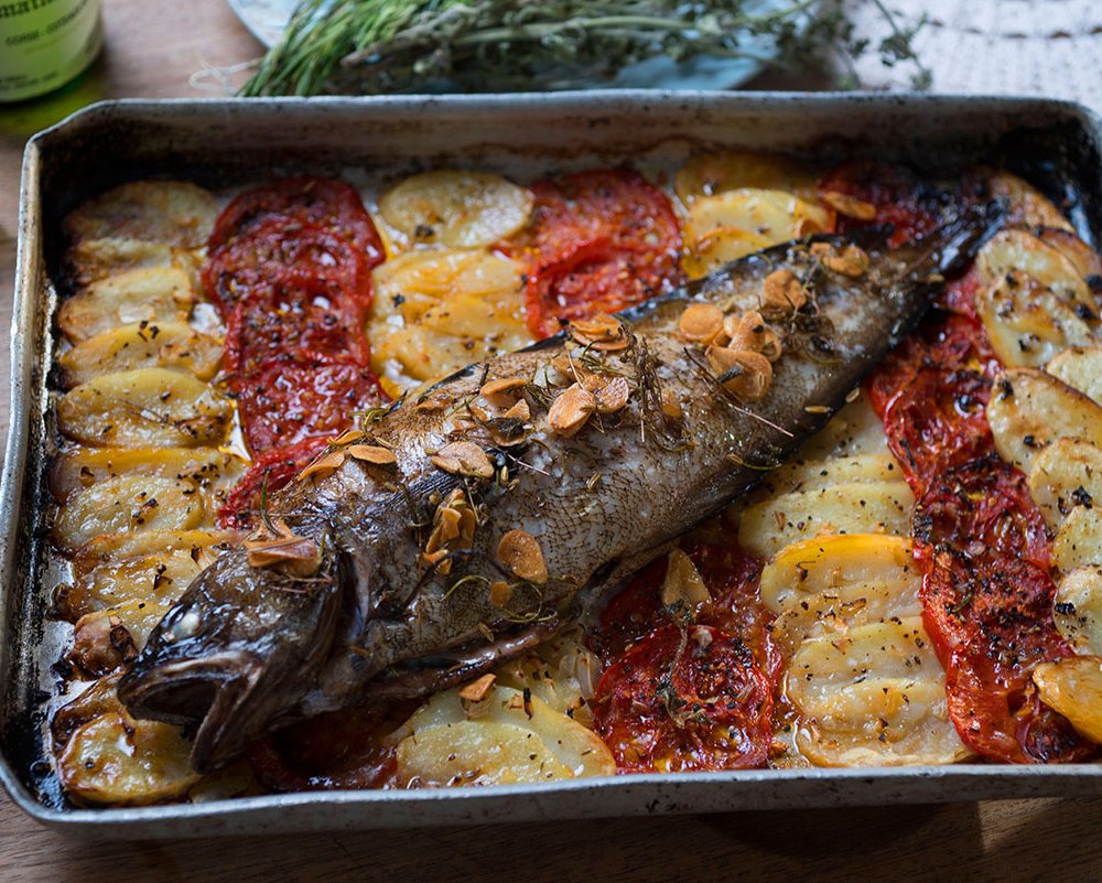 yotam-corsica-fish_1448909278