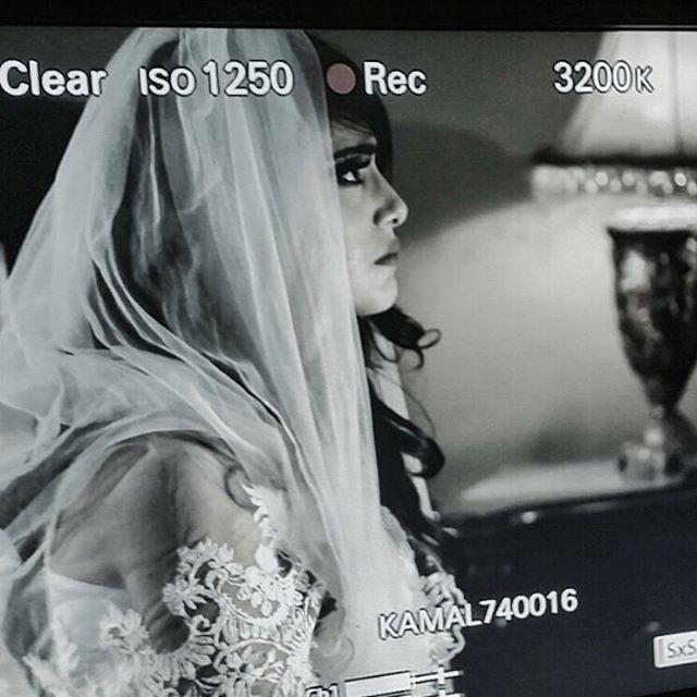 شيلاء سبت  (2)