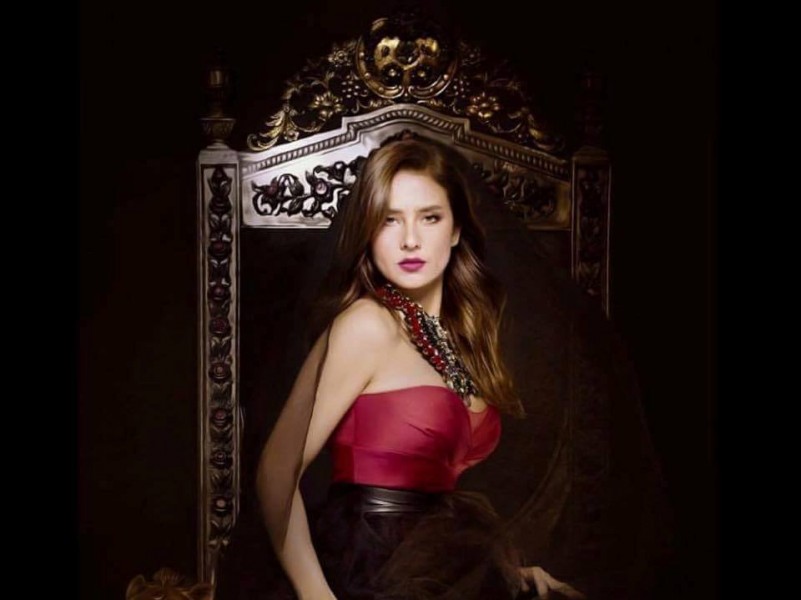 نيللي كريم (4)