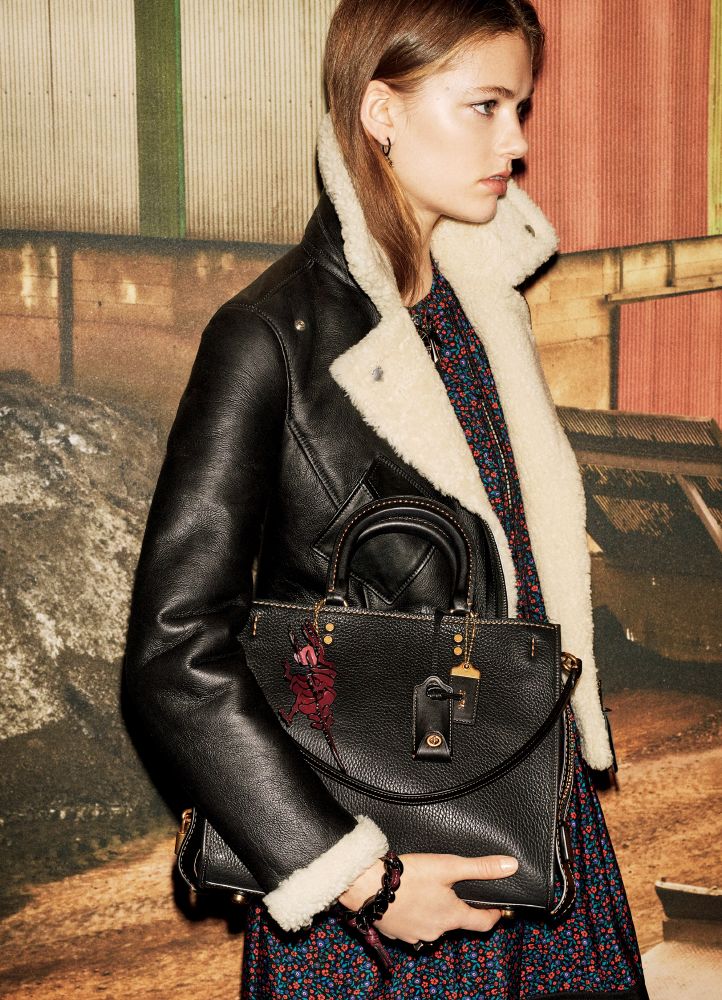 resized_17Fa0039_LR150