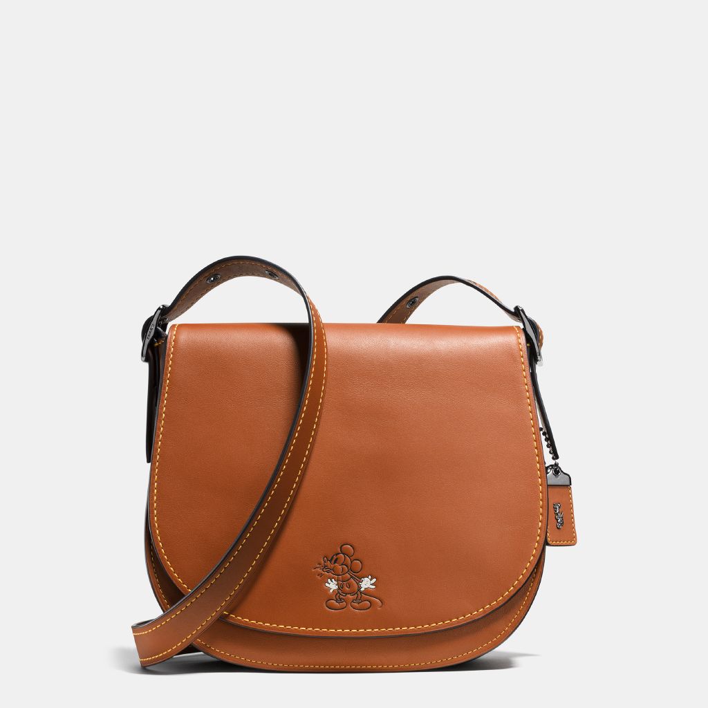 resized_Disney-x-Coach_37931_dkl4a_a0