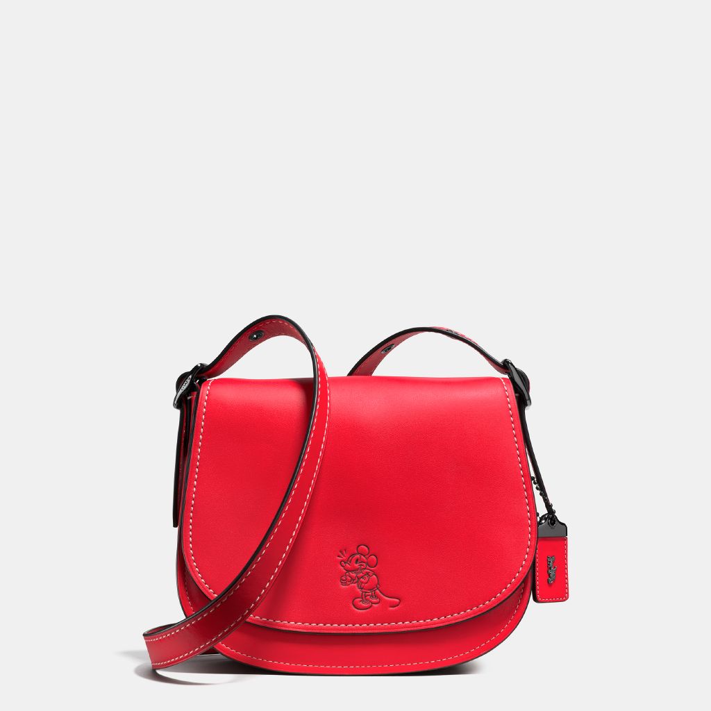 resized_Disney-x-Coach_38421_dkf8q_a0