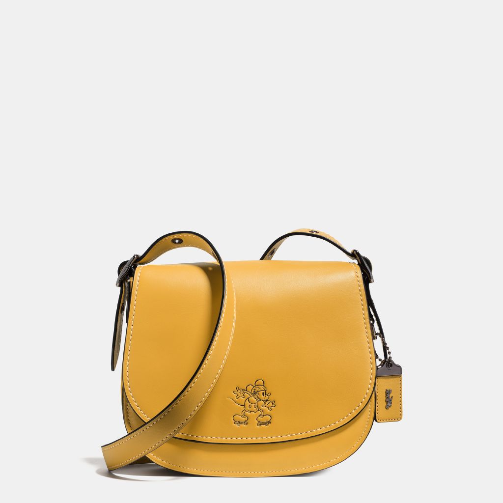resized_Disney-x-Coach_38421_dkflx_a0