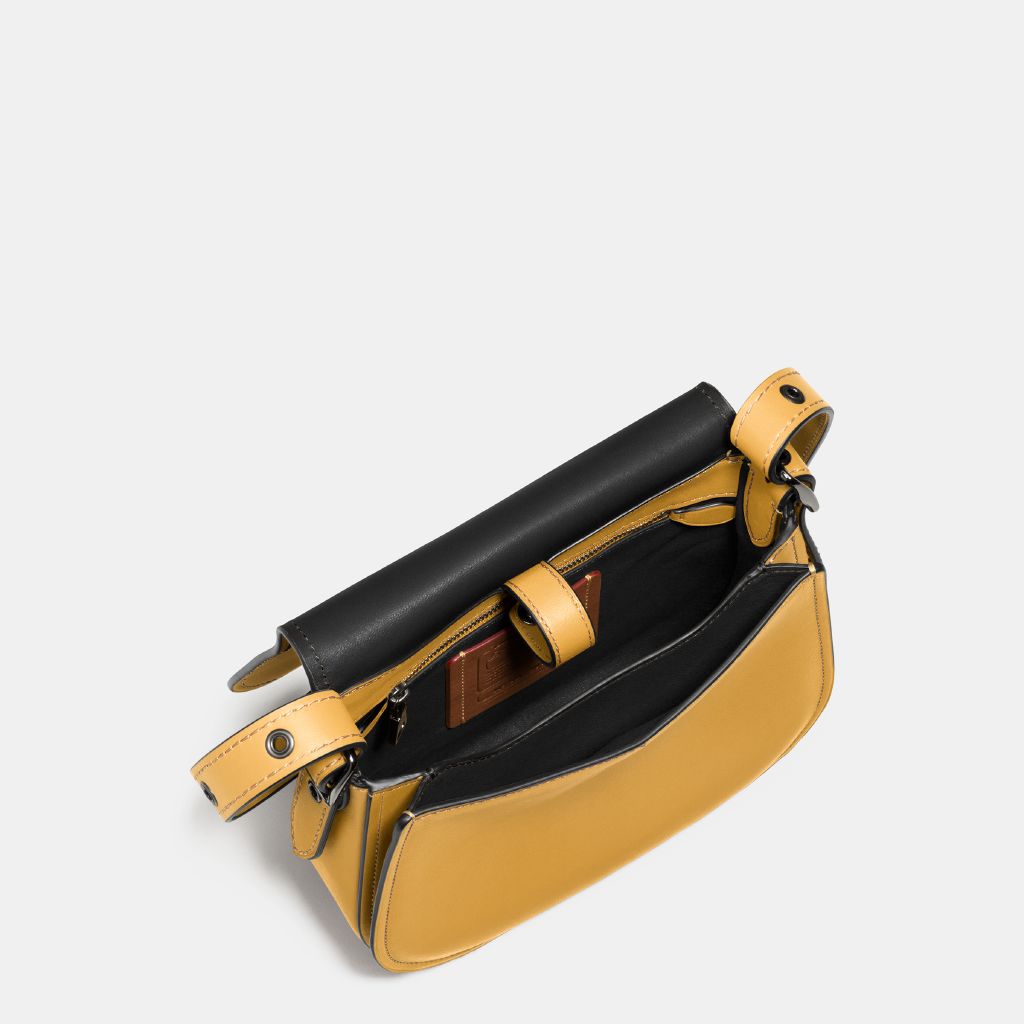 resized_Disney-x-Coach_38421_dkflx_a8