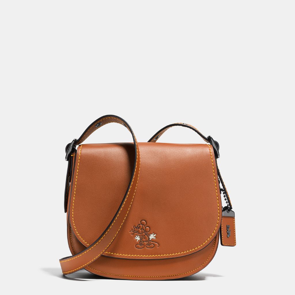 resized_Disney-x-Coach_38421_dkl4a_a0