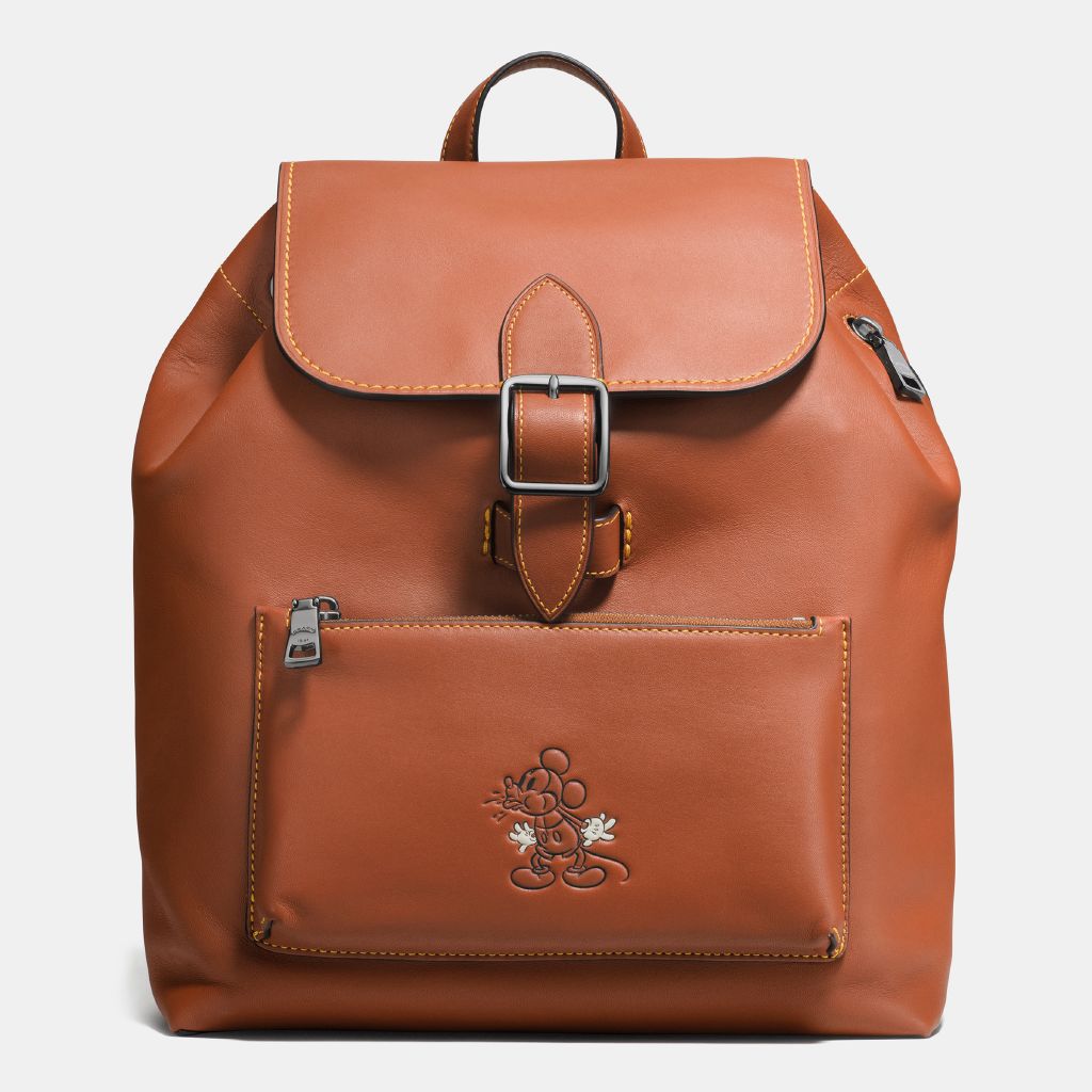 resized_Disney-x-Coach_38422_dkl4a_a0