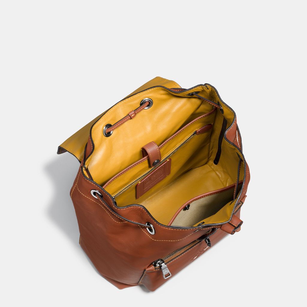 resized_Disney-x-Coach_38422_dkl4a_a8